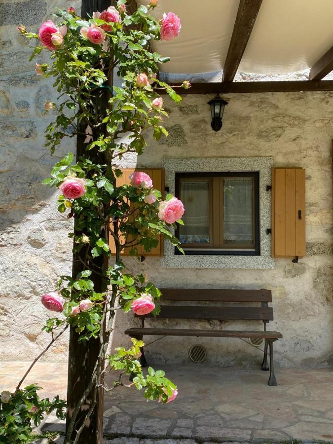 Chalet La Nos Molina di Ledro Bagian luar foto