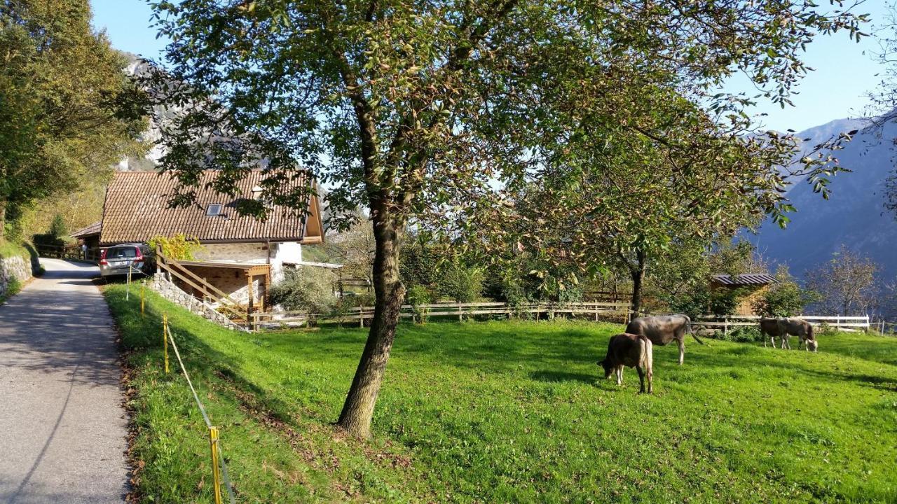 Chalet La Nos Molina di Ledro Ruang foto